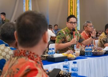 Padukan Keindahan dan Ketahanan, Rico Waas Rancang Wajah Baru Kota Medan yang Lebih Estetik