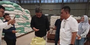 Sambut Panen Raya, Bulog Pastikan Siap Borong Gabah dan Jagung Petani