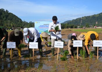 Bangkitkan Lumbung Pangan, Wagub Sumut dan Mentan Mulai Rehabilitasi 37 Ribu Hektare Sawah Pasca-Bencana