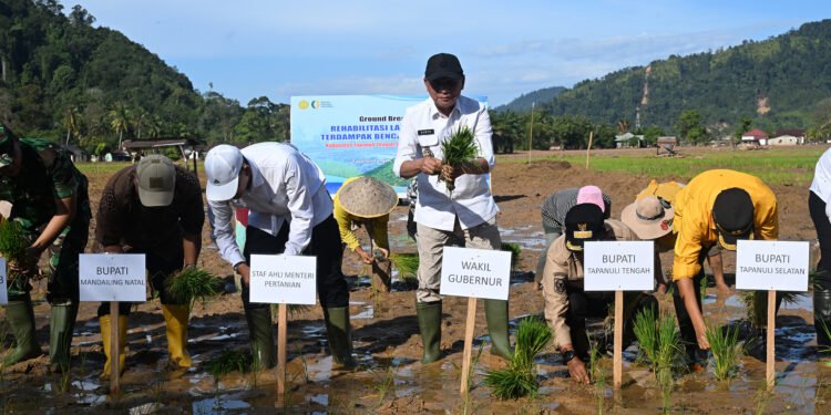 Bangkitkan Lumbung Pangan, Wagub Sumut dan Mentan Mulai Rehabilitasi 37 Ribu Hektare Sawah Pasca-Bencana