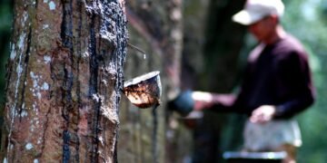 Permintaan Global Melemah, Volume Ekspor Karet Sumut 2025 Tergerus 1,97 Persen