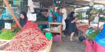 Dampak Banjir November Mulai Ganggu Produksi Cabai di Sumut, Harga Diprediksi Berfluktuasi