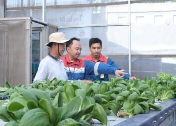 Pertamina Patra Niaga Sumbagut Sabet 12 Penghargaan PROPER Hijau 2025