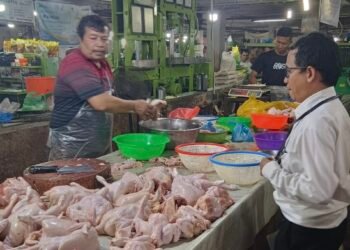 Harga Bapok Medan Stabil, KPPU Kanwil I Telisik Rantai Pasok Minyak Goreng dan Cabai