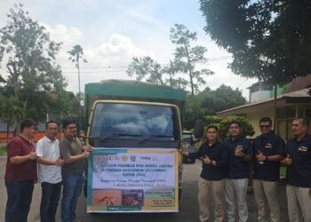 BULOG Sumut Mulai Salurkan 66 Ton Jagung SPHP untuk 6 Peternak, Total Alokasi Capai 1.116 Ton