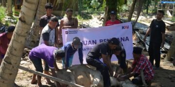 Wujud Kepedulian Pasca-Banjir, KAI Divre I Sumut Salurkan Hewan Kurban ke Aceh Tamiang