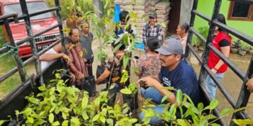 Pulihkan Hutan Adat, GJI Distribusikan 10.000 Bibit Kemenyan di Tiga Kabupaten Sumut