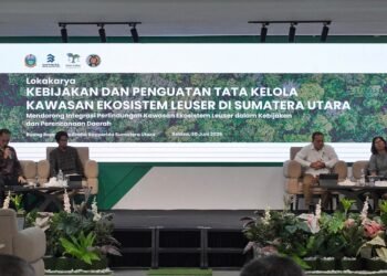 Mengelola Lanskap, Bukan Sekadar Hutan: Kolaborasi Lintas Sektor Menjadi Kunci Masa Depan Leuser