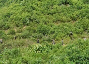 Jejak Gajah Menjadi Penanda Harapan Pemulihan Habitat Satwa Kunci Leuser