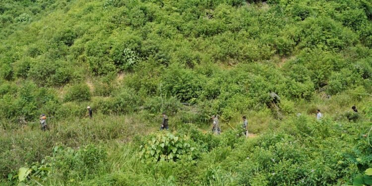 Jejak Gajah Menjadi Penanda Harapan Pemulihan Habitat Satwa Kunci Leuser