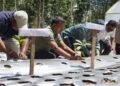 Tembus Pasar Singapura, Kopi Agroforestri Tapanuli Selatan Buktikan Pelestarian Hutan Bisa Hasilkan Cuan