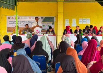 Bulog Sumut Salurkan Bantuan Pangan Beras untuk Tiga Alokasi Sekaligus di Tebing Tinggi