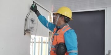 PLN