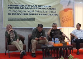 Menelusuri Celah Gelap Perdagangan Satwa Liar di Sumut: Dari Pasar Digital Hingga Jasa Pengiriman Ekspres