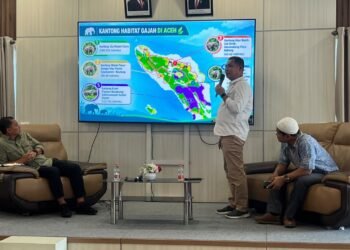 Menyambung Jejak Gajah Sumatra di Aceh: Ketika Manusia dan Satwa Belajar Berbagi Ruang