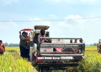Pengadaan Beras BULOG Tembus 4 Juta Ton, Wilayah Sumut Capai 84 Persen Target
